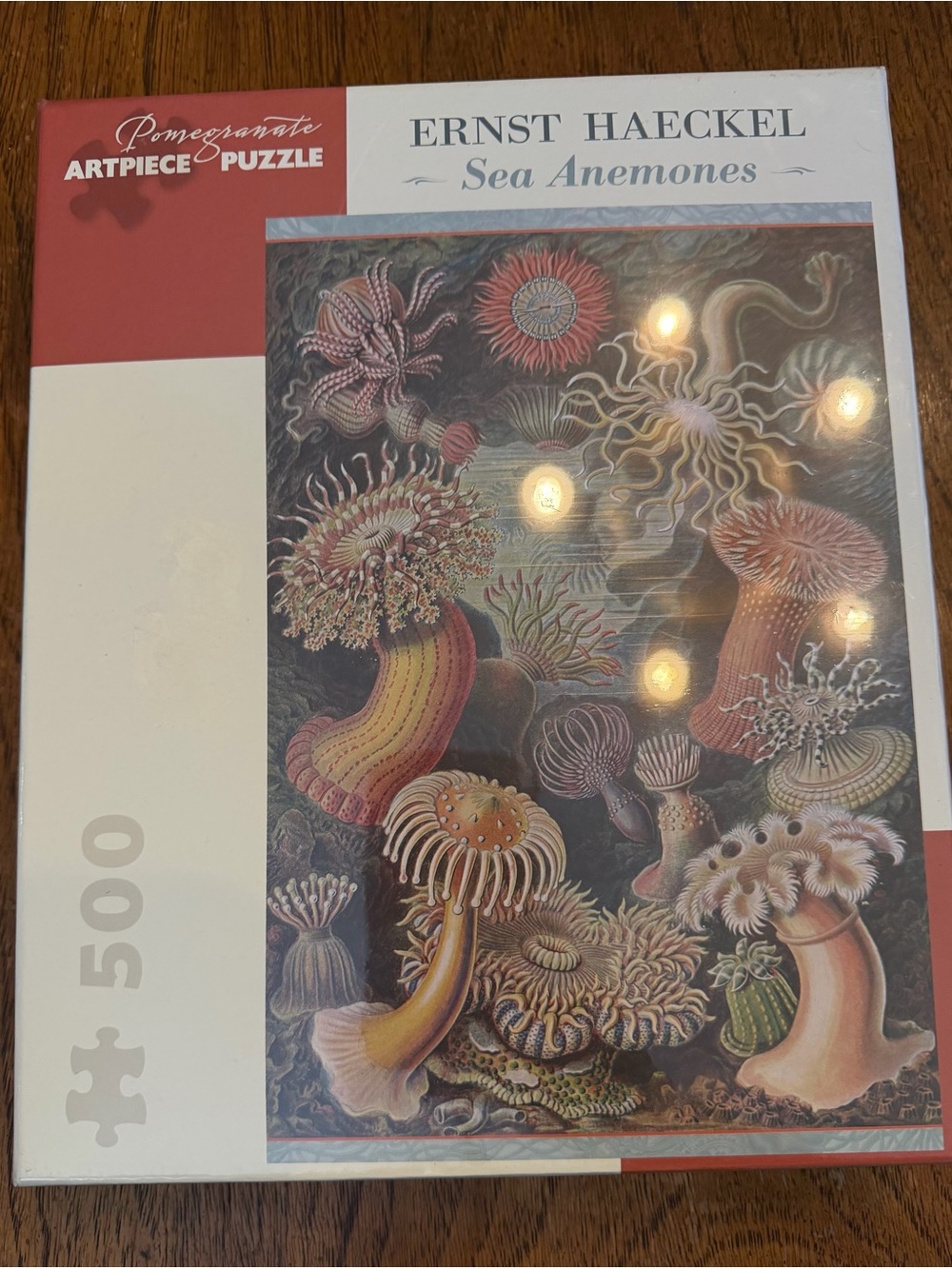 New unopened Ernst Haeckel Sea Anemones 500-Piece Art Puzzle - Multicolor